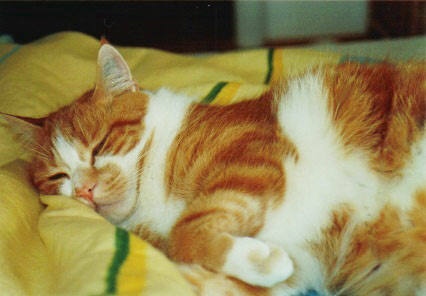 Charly