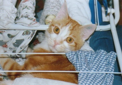 Charly