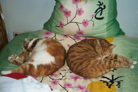 Charly und Speedy