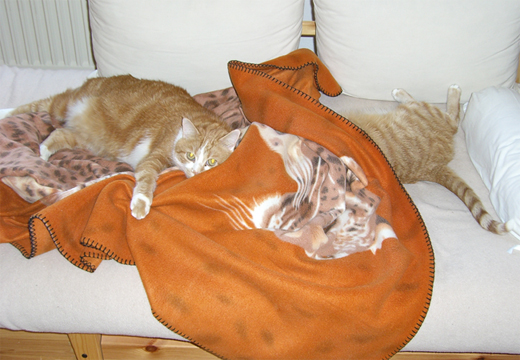 Charly und Speedy