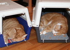 Charly und Speedy
