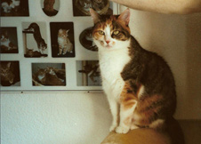 Queeny