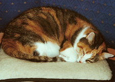 Queeny