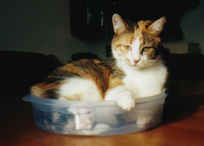 Queeny