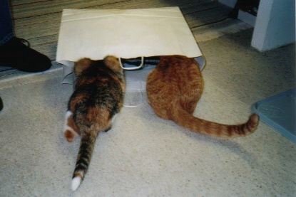 Tiger und Queeny